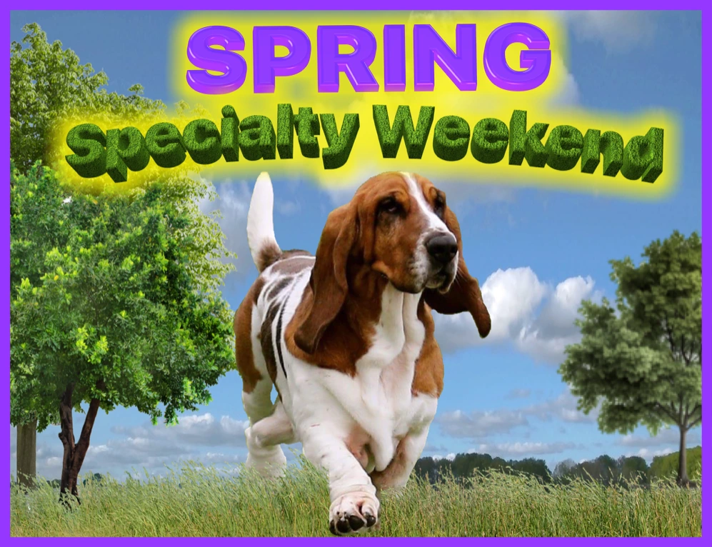 BHCSC Spring Specialty Weekend promotional image