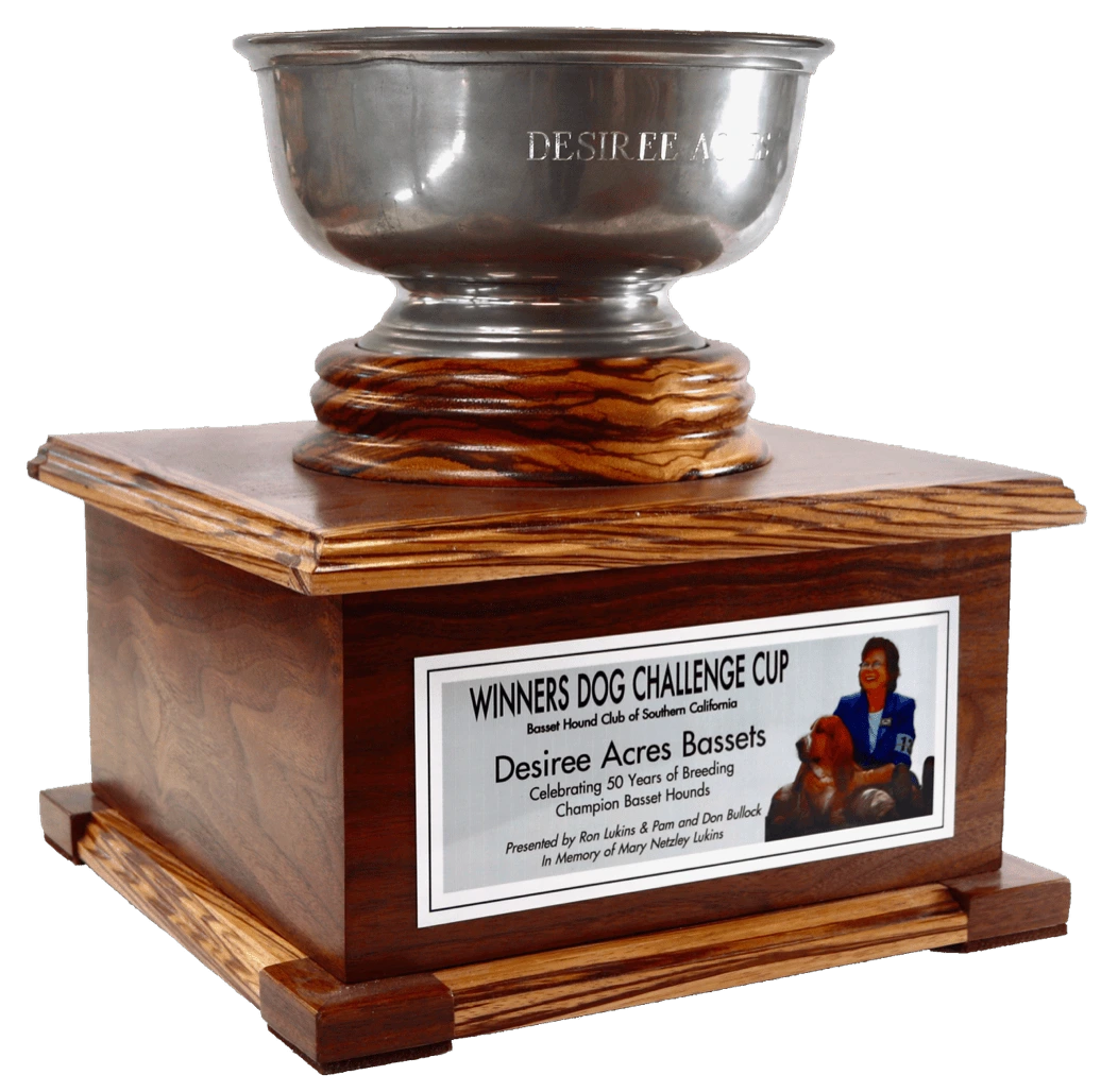 Winners Dog Challenge Cup trophy